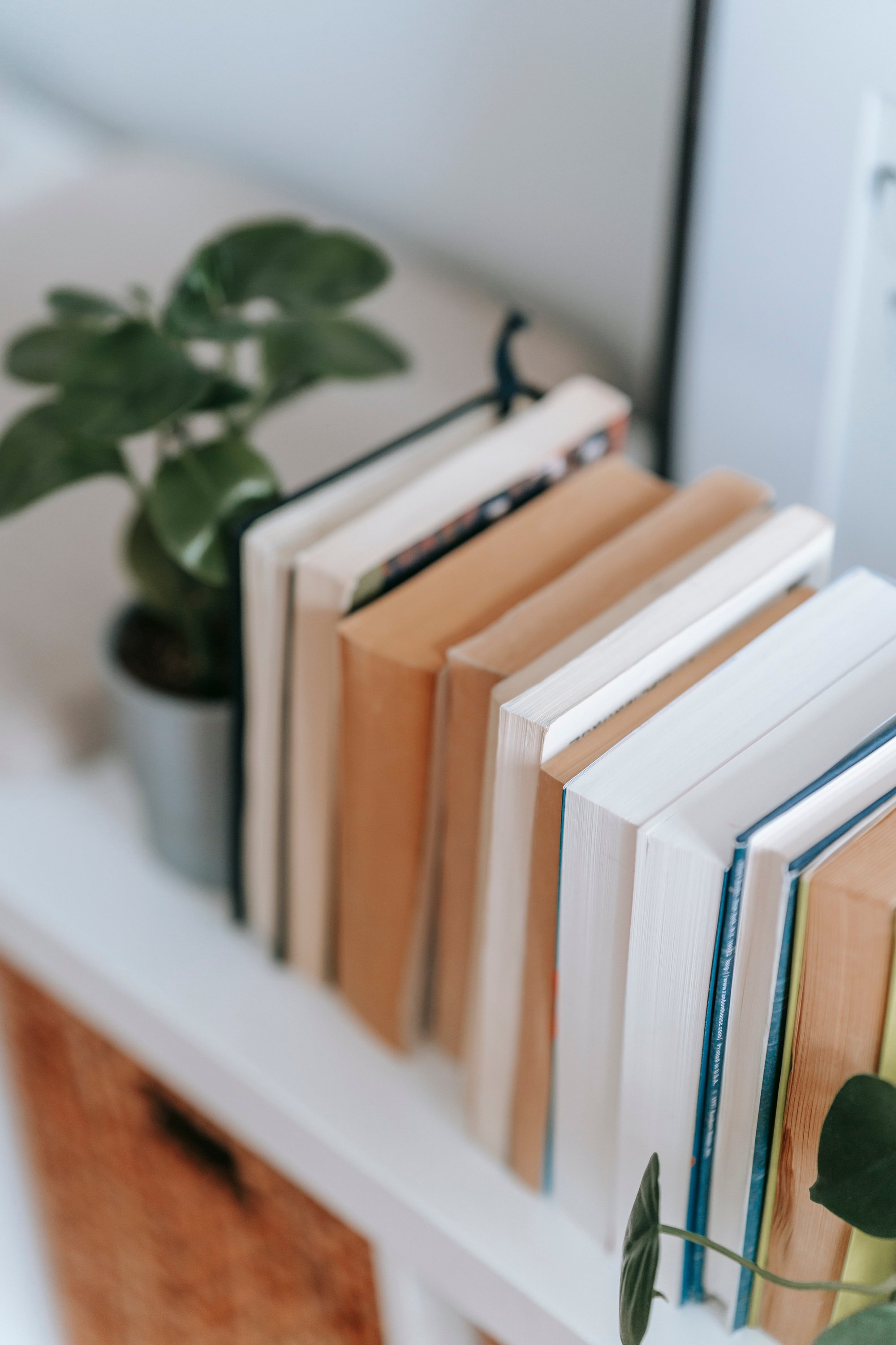 Shelf with stack of books and plant